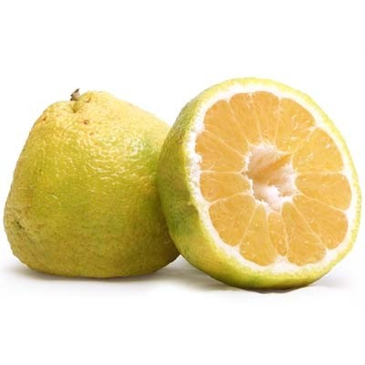فروش گریپ فروت زرد